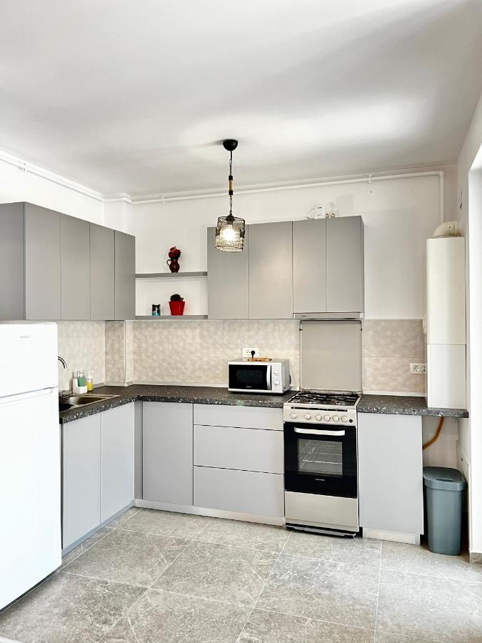 Apartment Mara 2 Timișoara Zewnętrze zdjęcie
