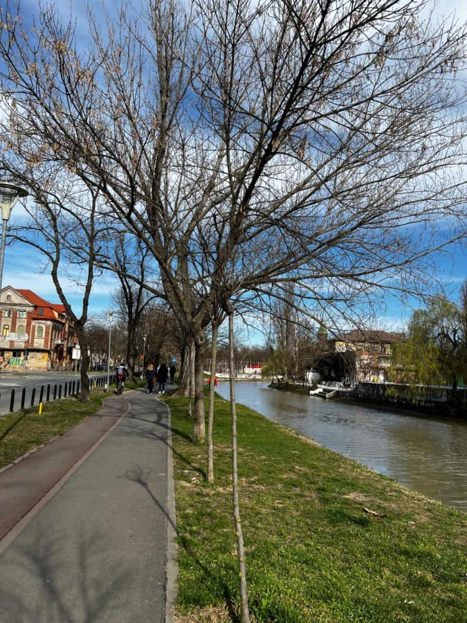 Apartment Mara 2 Timișoara Zewnętrze zdjęcie